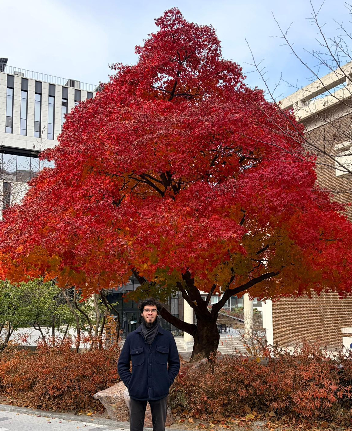 Automn in Seoul (credit: Seunghoon Hwang)